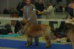 041_mvp_praha_letnany-5