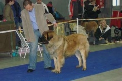 041_mvp_praha_letnany-6