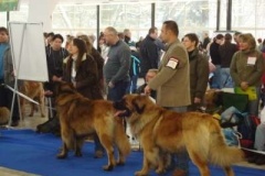 042_hanacka_nvp_olomouc-1