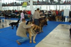 042_hanacka_nvp_olomouc-2