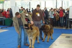 042_hanacka_nvp_olomouc-4