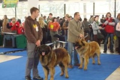042_hanacka_nvp_olomouc-8