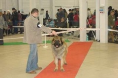 043_mvp_trencin-2