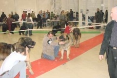 043_mvp_trencin-3