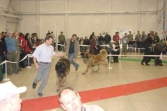 043_mvp_trencin-4