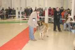 043_mvp_trencin-5