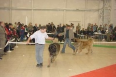 043_mvp_trencin-6
