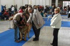 044_duo_cacib_mvp_brno-2