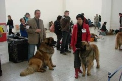 044_duo_cacib_mvp_brno-3