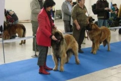 044_duo_cacib_mvp_brno-6