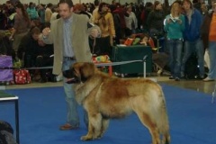 045_duo_cacib_mpv_brno-1