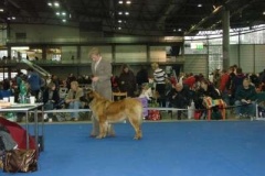 045_duo_cacib_mpv_brno-10