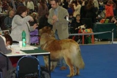 045_duo_cacib_mpv_brno-2