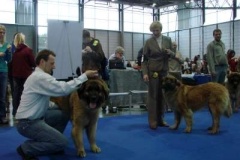 045_duo_cacib_mpv_brno-4