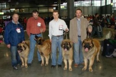 045_duo_cacib_mpv_brno-6