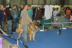 045_duo_cacib_mpv_brno-8
