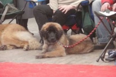 047_mvp_katowice-1