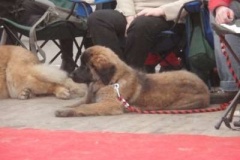 047_mvp_katowice-3