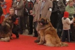 047_mvp_katowice-6
