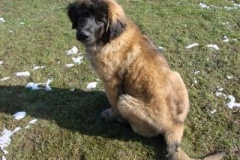 049_gwen_sama_na_zahrade-1