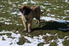 049_gwen_sama_na_zahrade-10