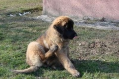 049_gwen_sama_na_zahrade-29