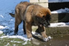 049_gwen_sama_na_zahrade-4