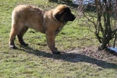 049_gwen_sama_na_zahrade-6