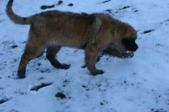 049_gwen_sama_na_zahrade-8