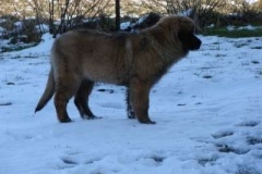 049_gwen_sama_na_zahrade-9