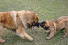 050_dovadeni_s_bardem_na_zahrade-10