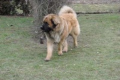 050_dovadeni_s_bardem_na_zahrade-11