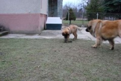 050_dovadeni_s_bardem_na_zahrade-12
