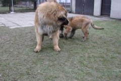 050_dovadeni_s_bardem_na_zahrade-14