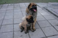 050_dovadeni_s_bardem_na_zahrade-15