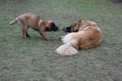 050_dovadeni_s_bardem_na_zahrade-17