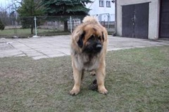 050_dovadeni_s_bardem_na_zahrade-18