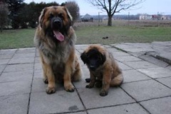 050_dovadeni_s_bardem_na_zahrade-2