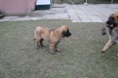 050_dovadeni_s_bardem_na_zahrade-22