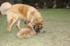 050_dovadeni_s_bardem_na_zahrade-24