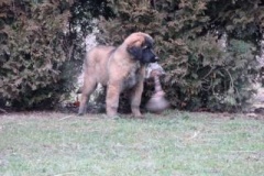 050_dovadeni_s_bardem_na_zahrade-25