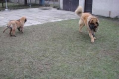 050_dovadeni_s_bardem_na_zahrade-28