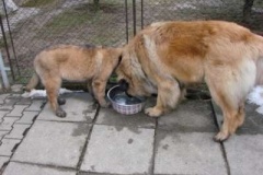 050_dovadeni_s_bardem_na_zahrade-29