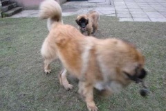 050_dovadeni_s_bardem_na_zahrade-3