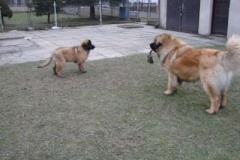 050_dovadeni_s_bardem_na_zahrade-31