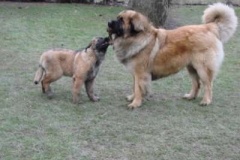 050_dovadeni_s_bardem_na_zahrade-33