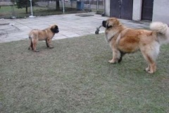 050_dovadeni_s_bardem_na_zahrade-34