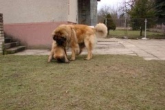 050_dovadeni_s_bardem_na_zahrade-5