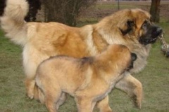 050_dovadeni_s_bardem_na_zahrade-8