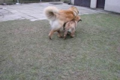 050_dovadeni_s_bardem_na_zahrade-9